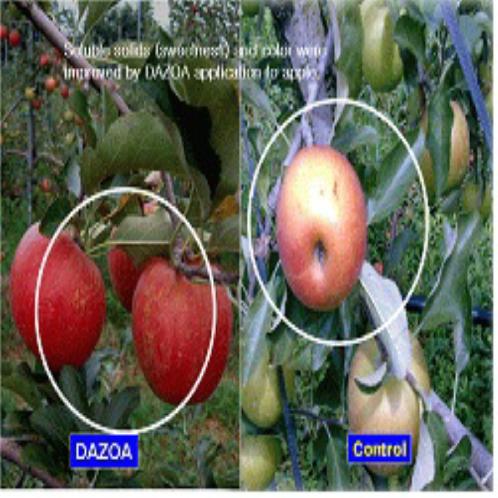 Remarkable Technology advanced Feed additive